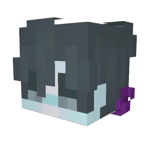 ZzITZSnowy_FoxzZ Minecraft avatar head, 3D render