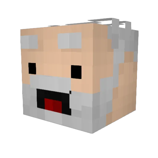 ZzJuly Minecraft avatar head, 3D render