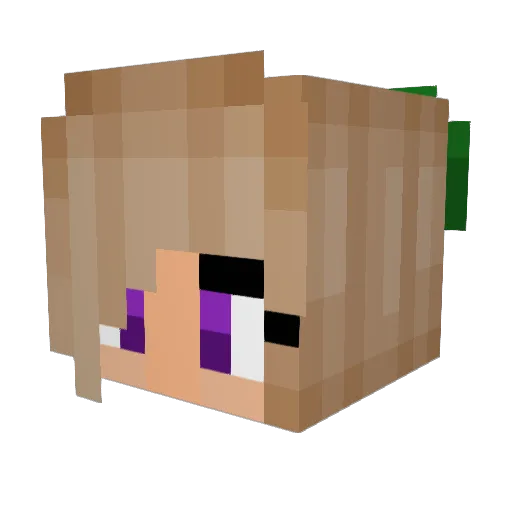Zz_Dark_z Minecraft avatar head, 3D render