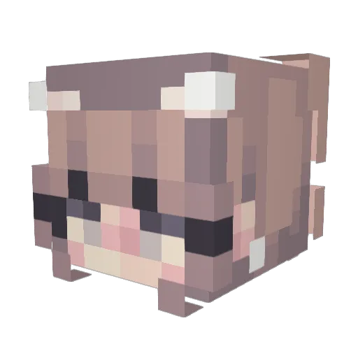 Zzeki2 Minecraft avatar head, 3D render