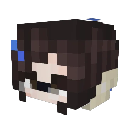 Zzerokj_ Minecraft avatar head, 3D render