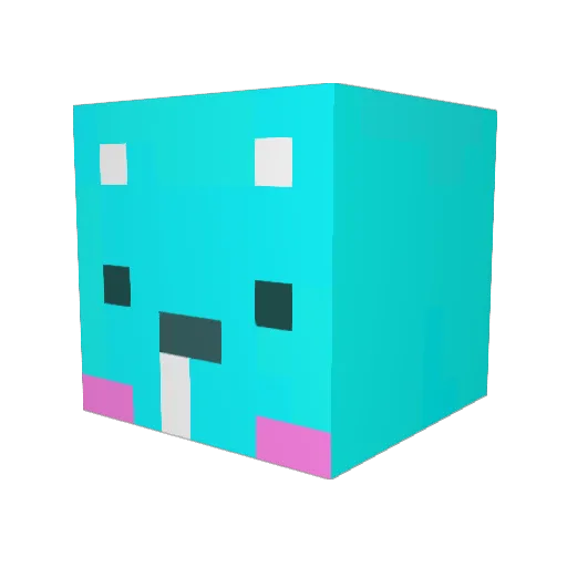 ZzuNi0808 Minecraft avatar head, 3D render
