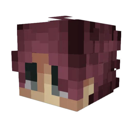ZzzSky Minecraft avatar head, 3D render