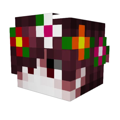 Zzz_o_0 Minecraft avatar head, 3D render