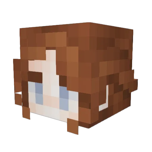 _01h06_ Minecraft avatar head, 3D render