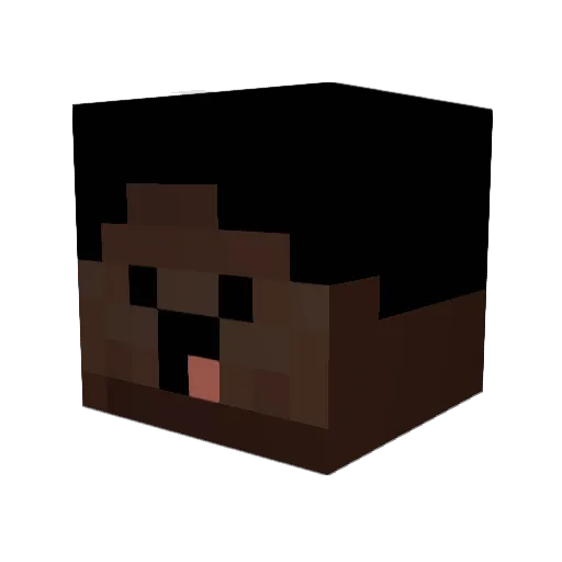 _0_sky Minecraft avatar head, 3D render