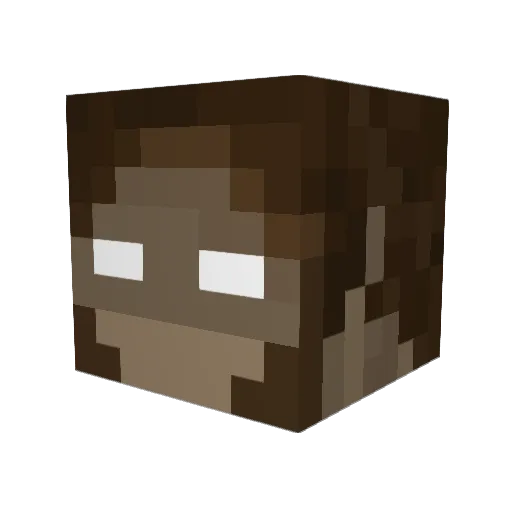 _0nullvoid0 Minecraft avatar head, 3D render