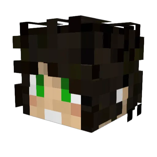 _0rcward Minecraft avatar head, 3D render