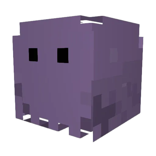 _12YearOld_ Minecraft avatar head, 3D render