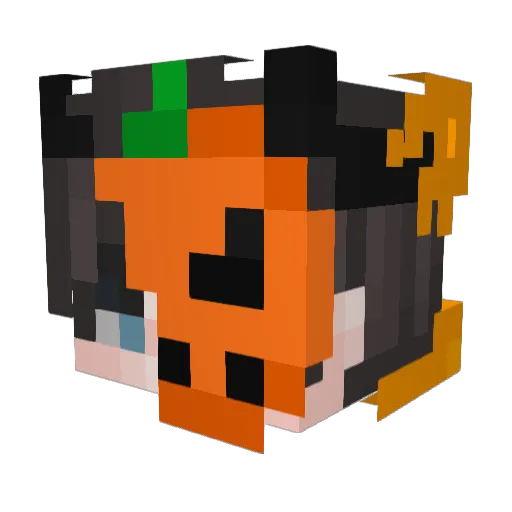 _145Hz_ Minecraft avatar head, 3D render