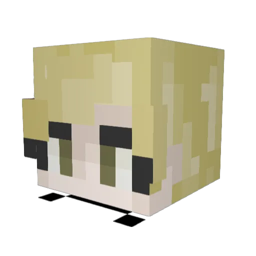 _196 Minecraft avatar head, 3D render