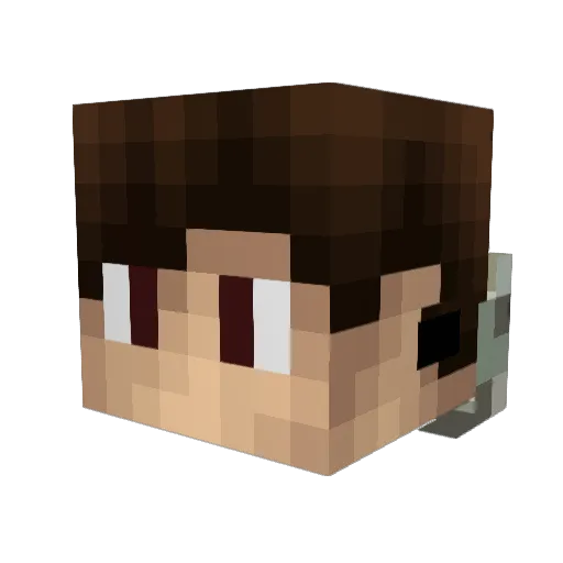 _1DanilGamer1_ Minecraft avatar head, 3D render