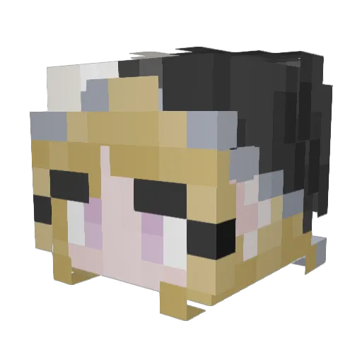 _1NIGHTMARE2_ Minecraft avatar head, 3D render