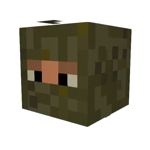 _1ssh0 Minecraft avatar head, 3D render