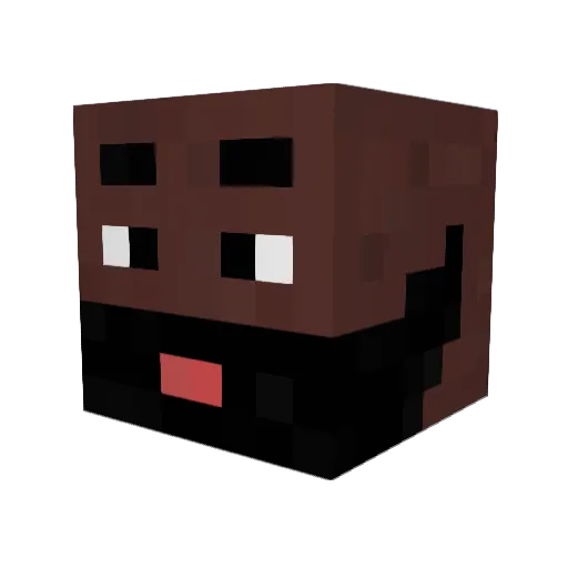 _270 Minecraft avatar head, 3D render