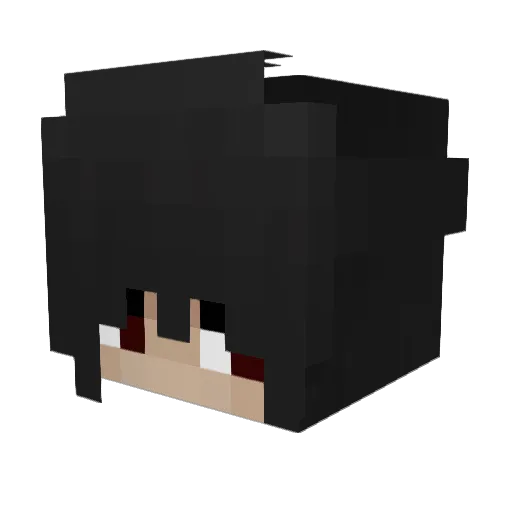 _2hard4you_ Minecraft avatar head, 3D render