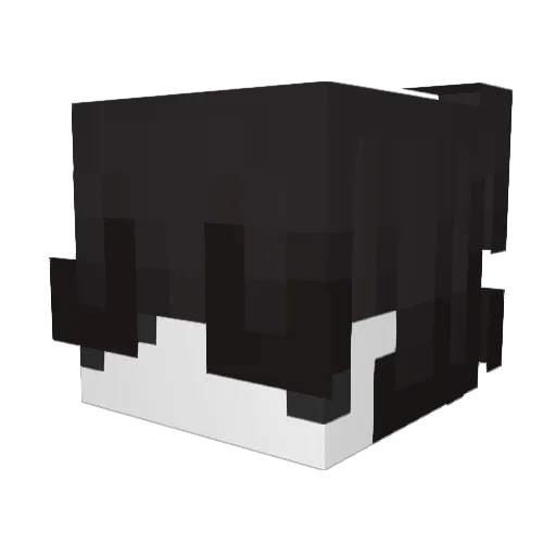_2ru Minecraft avatar head, 3D render