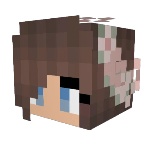 _2s Minecraft avatar head, 3D render