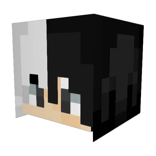 _2smart4you_ Minecraft avatar head, 3D render