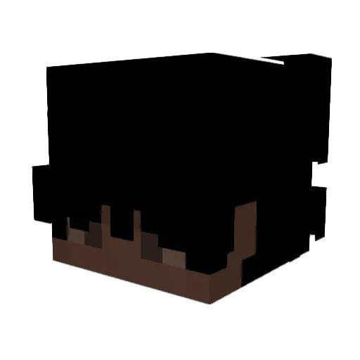 _2vl Minecraft avatar head, 3D render