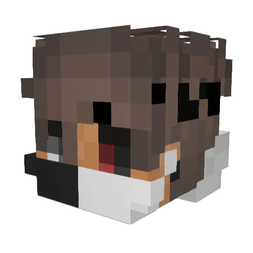 _300IQ Minecraft avatar head, 3D render