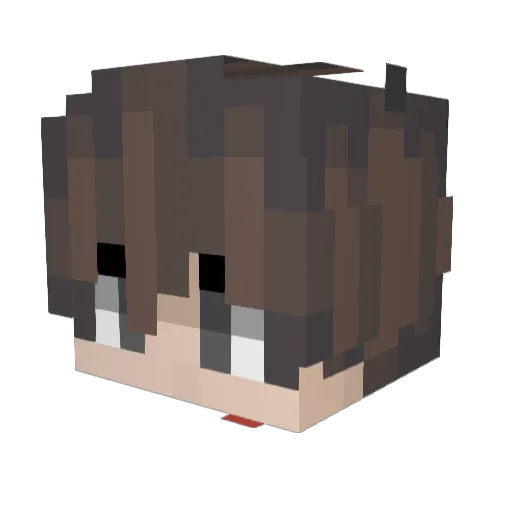 _321 Minecraft avatar head, 3D render