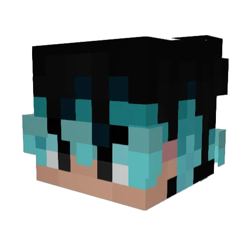 _331 Minecraft avatar head, 3D render