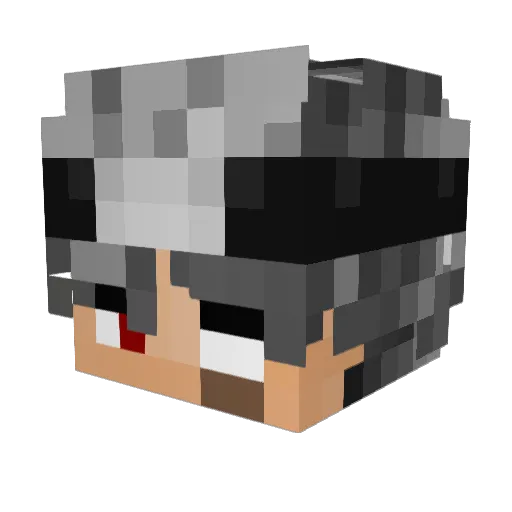 _3eexit_ Minecraft avatar head, 3D render