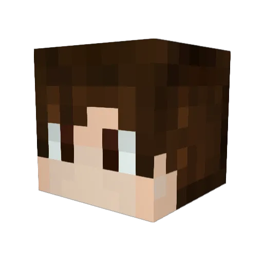 _3nvoy Minecraft avatar head, 3D render