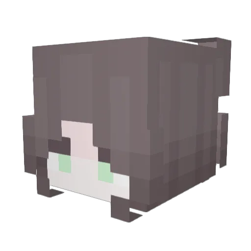 _3vX Minecraft avatar head, 3D render