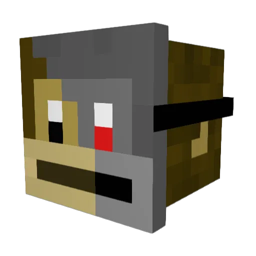 _40x Minecraft avatar head, 3D render
