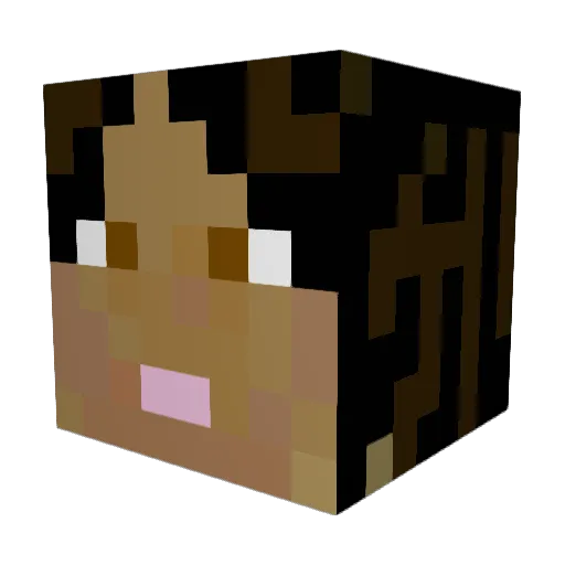 _444sel1na Minecraft avatar head, 3D render