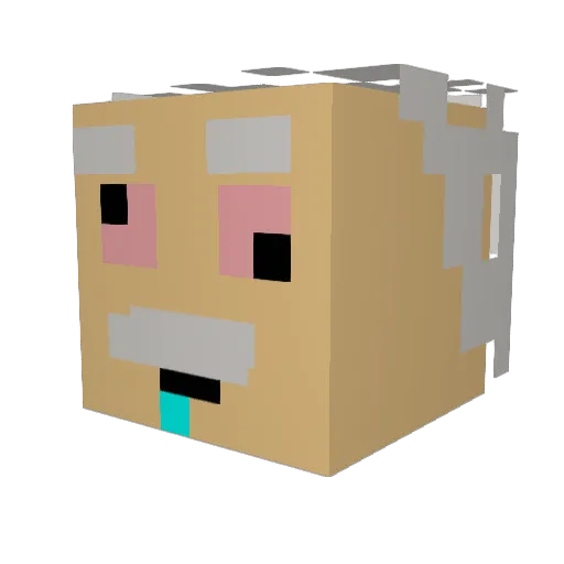 _48Hours_ Minecraft avatar head, 3D render