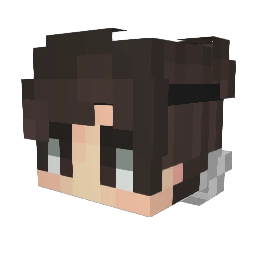 _4got_ Minecraft avatar head, 3D render
