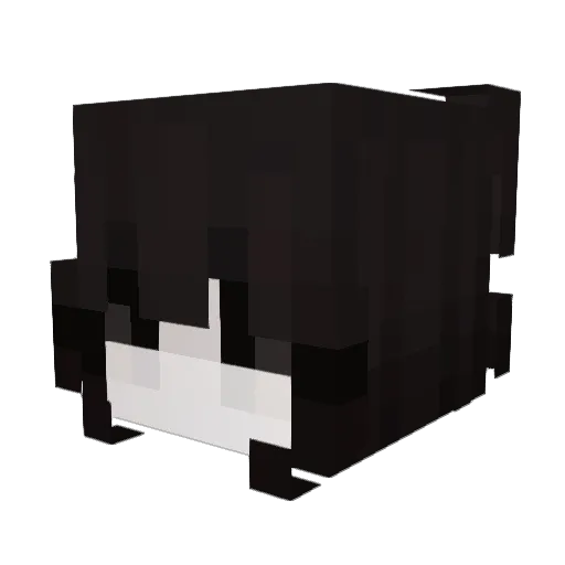 _4h9 Minecraft avatar head, 3D render