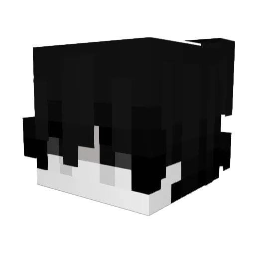 _4lg Minecraft avatar head, 3D render