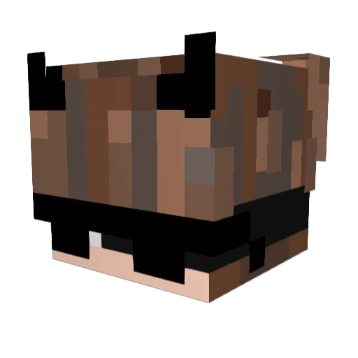 _4ries Minecraft avatar head, 3D render