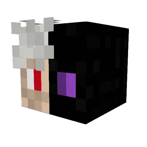 _5MrCraft9_ Minecraft avatar head, 3D render
