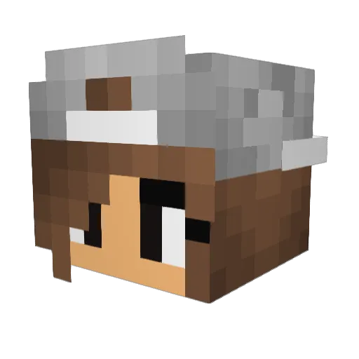 _5NOA5_ Minecraft avatar head, 3D render