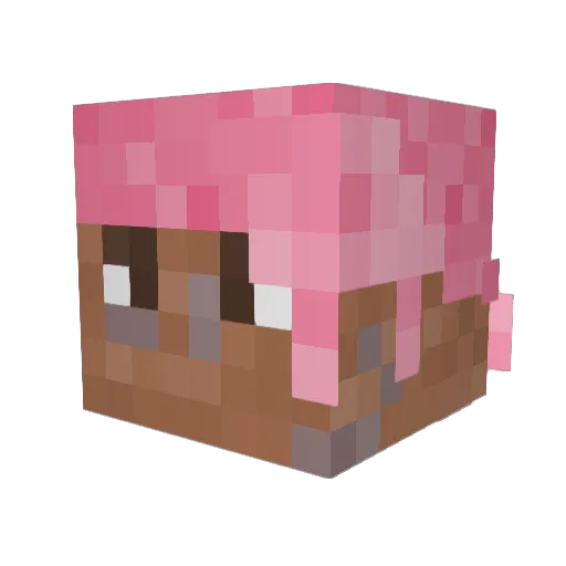 _69Vladimir69_ Minecraft avatar head, 3D render