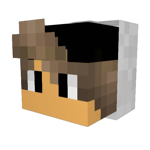 _6ixside_ Minecraft avatar head, 3D render