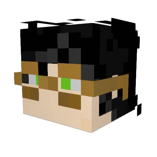 _72Pooooooootang Minecraft avatar head, 3D render