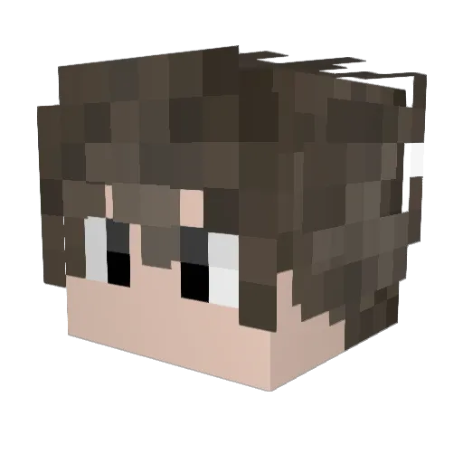 _777777_ Minecraft avatar head, 3D render