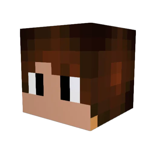 _8D8_ Minecraft avatar head, 3D render