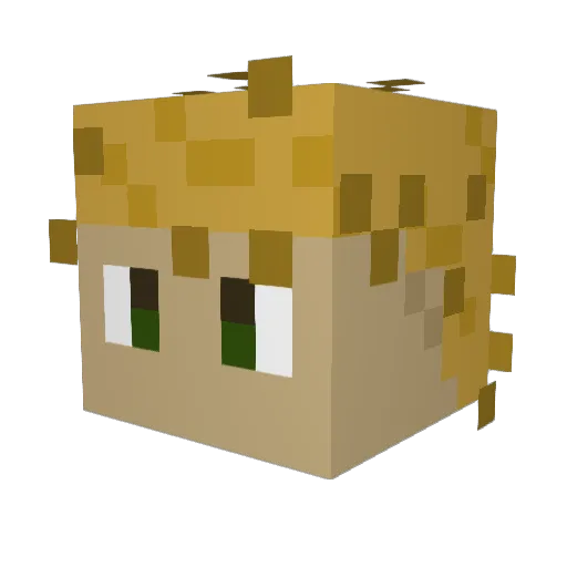 _8us7er_ Minecraft avatar head, 3D render