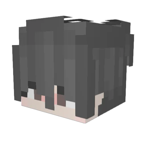 _926_ Minecraft avatar head, 3D render