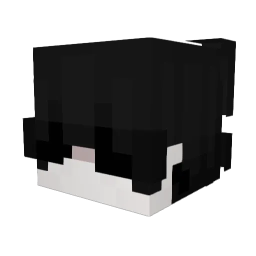 _9AG Minecraft avatar head, 3D render