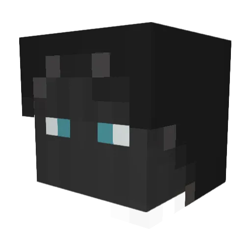 _9I_ Minecraft avatar head, 3D render
