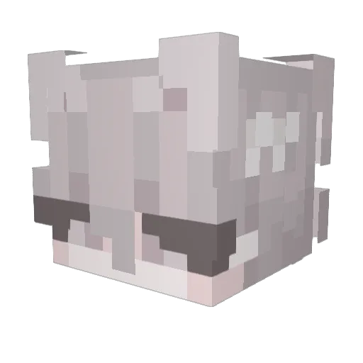 _9ec Minecraft avatar head, 3D render