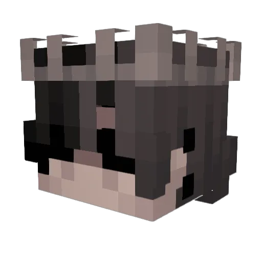 _9oo9 Minecraft avatar head, 3D render